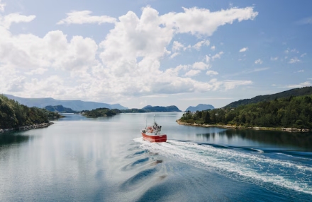 Croisières fluviales : Options de voyages en bateau et conseils pour une expérience de croisière mémorable